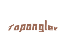 TOPONGLEY