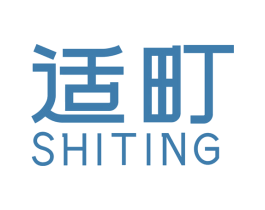 适町 第10类医疗器械商标转让 注册号49786851