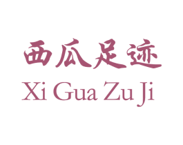 西瓜足迹 第10类医疗器械商标转让 注册号31359608