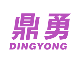 鼎勇 第09类科学仪器商标转让 注册号46637319A