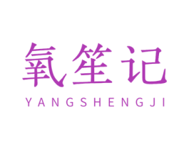 氧笙记