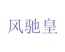 风驰皇