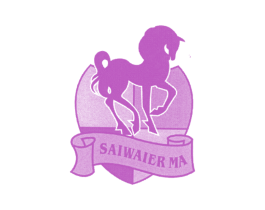 SAIWAIER MA 第25类服装鞋帽商标转让 注册号46220088