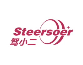 驾小二 STEERSOER