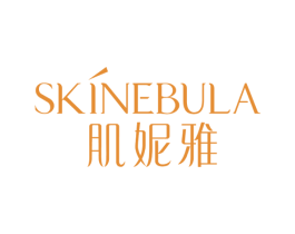 肌妮雅 SKINEBULA