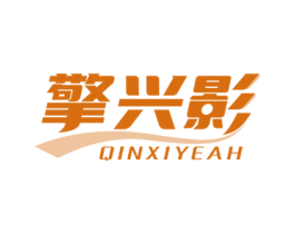 擎兴影 QINXIYEAH 第09类科学仪器商标转让 注册号51291670
