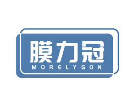 膜力冠 MORELYGON 第09类科学仪器商标转让 注册号53744436