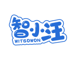 智小汪 WITSOWON