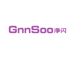 净闪 GNNSOO