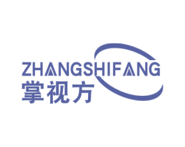 掌视方