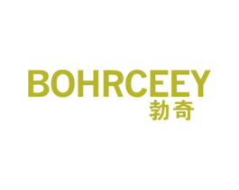勃奇 BOHRCEEY 第10类医疗器械商标转让 注册号48136340