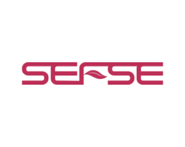 SEFSE