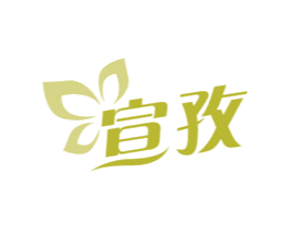 宣孜