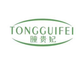 瞳贵妃