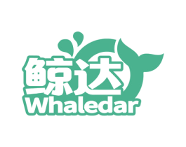 鲸达WHALEDAR