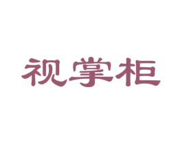 视掌柜