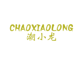 潮小龙