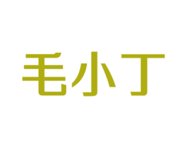 毛小丁 第09类科学仪器商标转让 注册号36769545