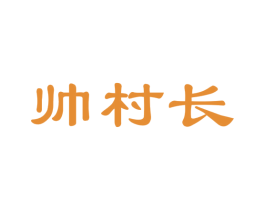 帅村长