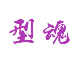 型魂