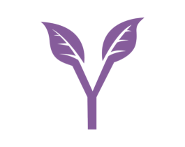 Y