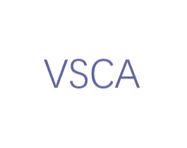 VSCA