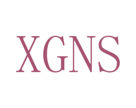 XGNS