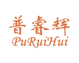普睿辉