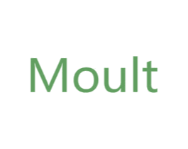 MOULT