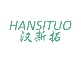 汉斯拓