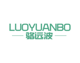 骆远波