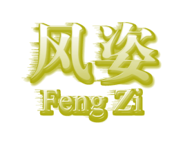 风姿