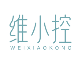 维小控