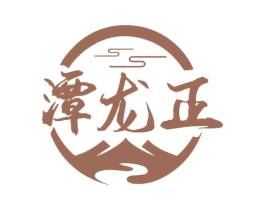 潭龙正
