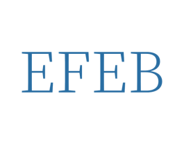 EFEB