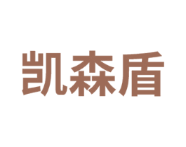 凯森盾