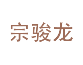 宗骏龙