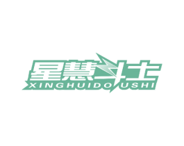 星慧斗士