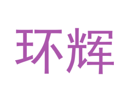 环辉