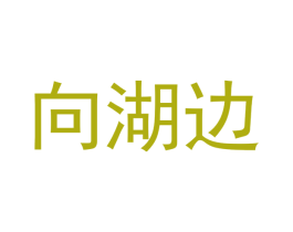 向湖边