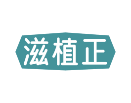 滋植正