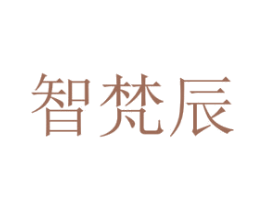 智梵辰
