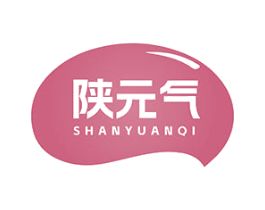 陕元气