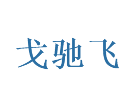 戈驰飞