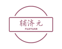 辅济元