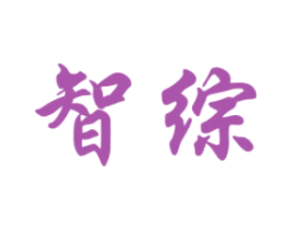 智综