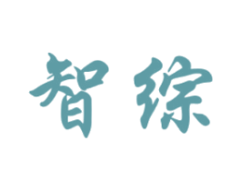 智综