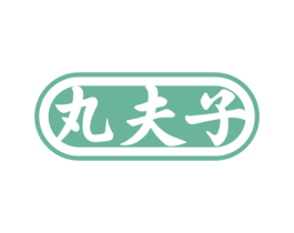 丸夫子 第05类医药商标转让 注册号68625829