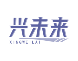 兴未来