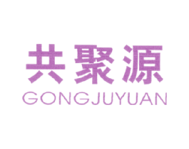 共聚源